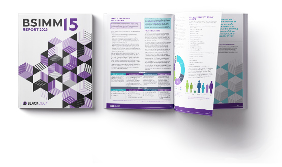 BSIMM15 report cover