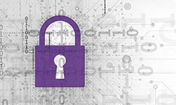 Build Security In