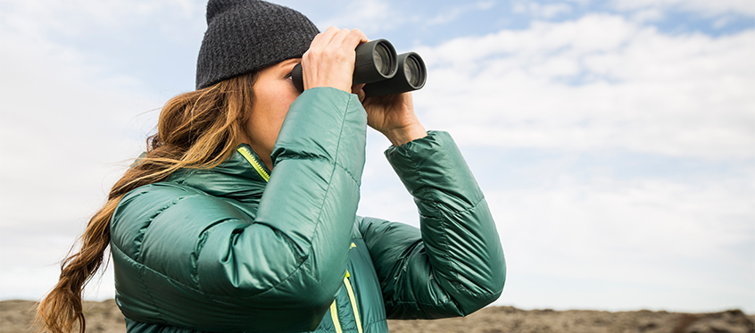 Person Observing Landscape With Binoculars