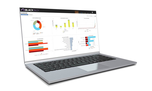 さまざまな結果を表示するPC画面上の Synopsys Assessment Center ダッシュボードの例
