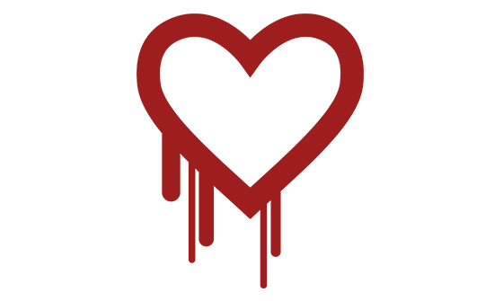 Heartbleed Vulnerability Security Threat Icon