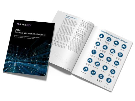 A graphic of the 2024 Software Vulnerability Snapshot report