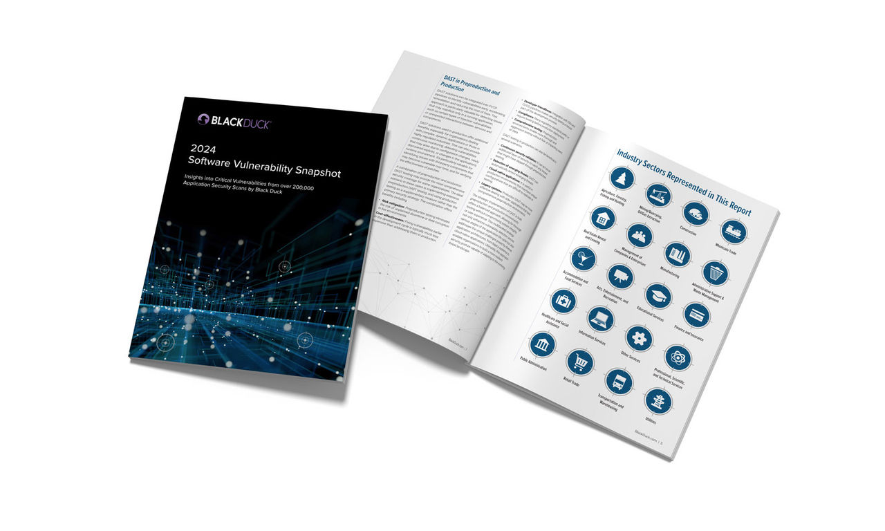 Software Vulnerability Snapshot Report