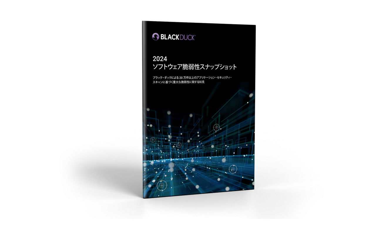 2024  ソフトウェア脆弱性スナップショット