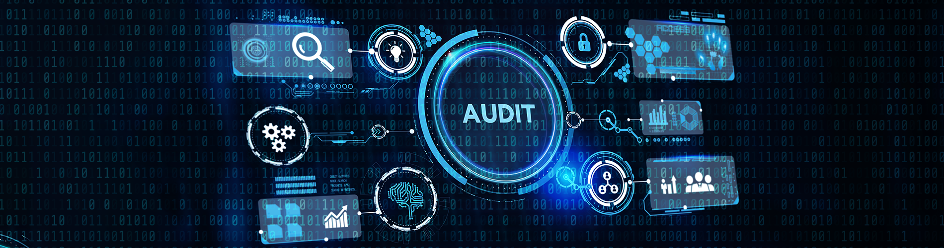 Software Audit and Due Diligence Process