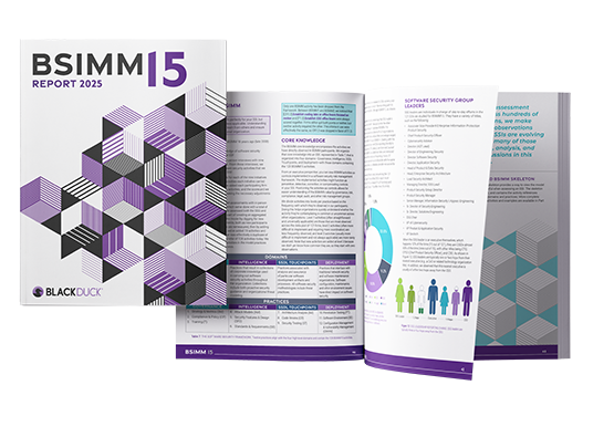 BSIMM15 Foundations Report