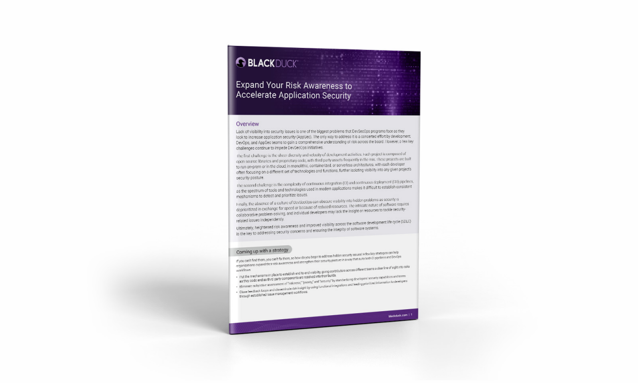 Expand Risk Awareness in Your DevSecOps Program to Accelerate AppSec