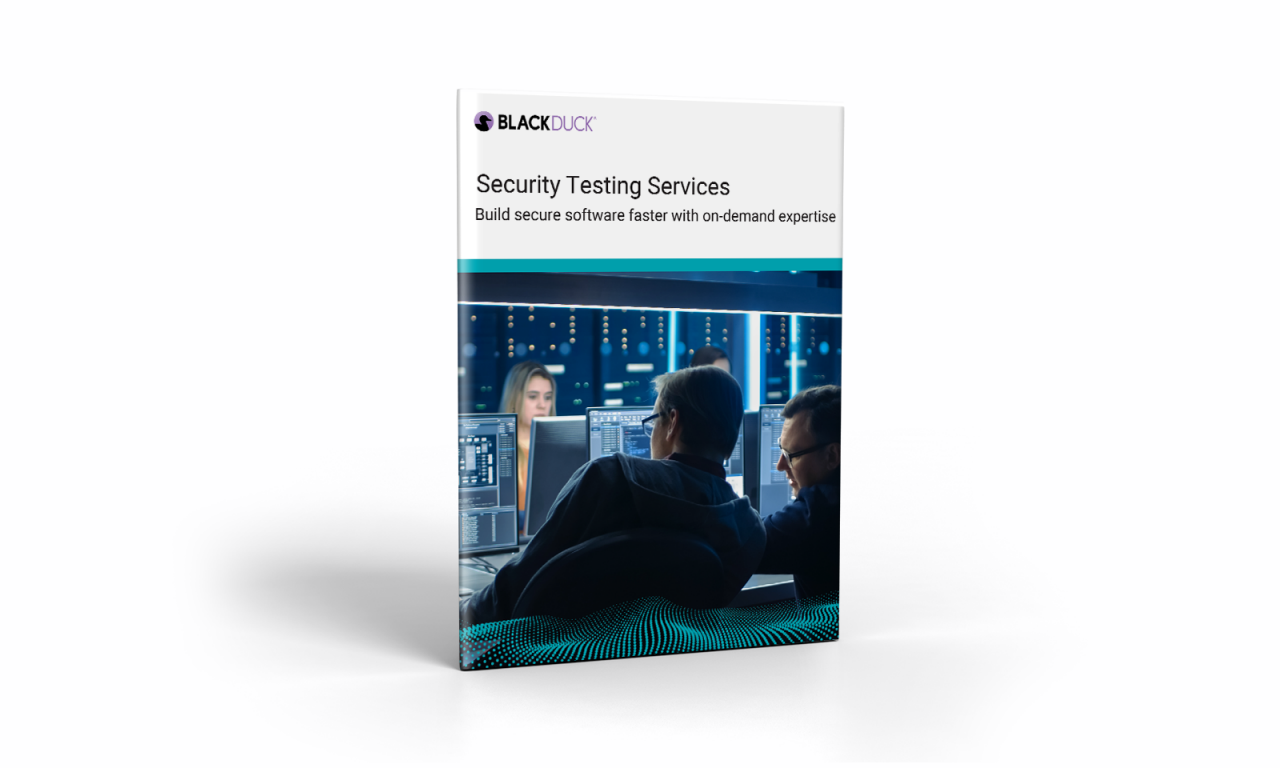 Application Security Testing Services Guide
