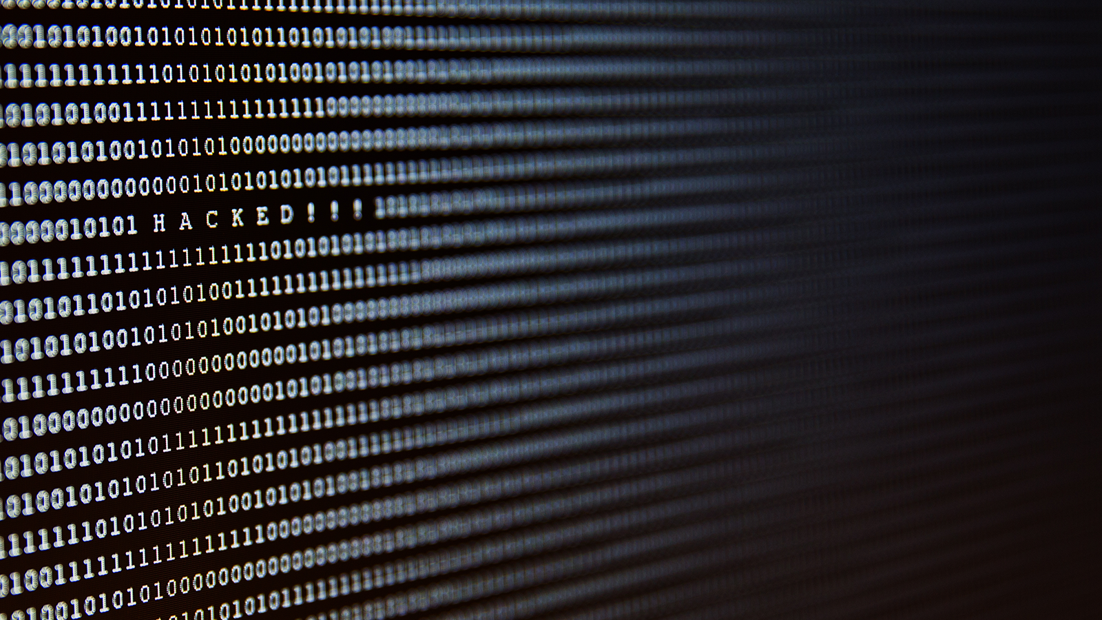 Curl And Libcurl Vulnerabilities Response Guide