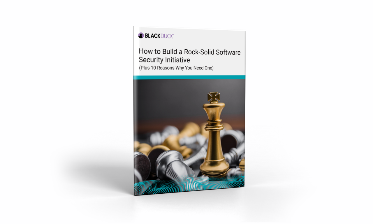 Software Security Initiative
