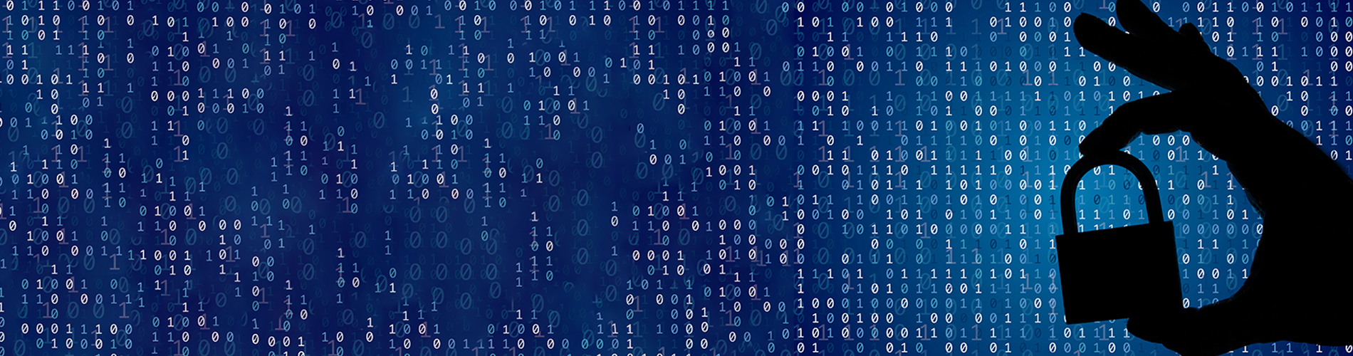 AppSec Program Maturity Level Assessment