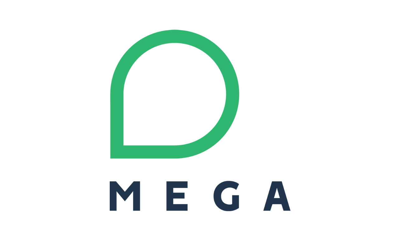 Mega international