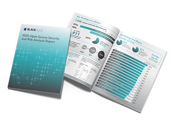 2025 Open Source Security Report Cover