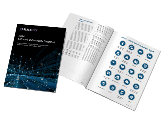 Software Vulnerability Snapshot Report