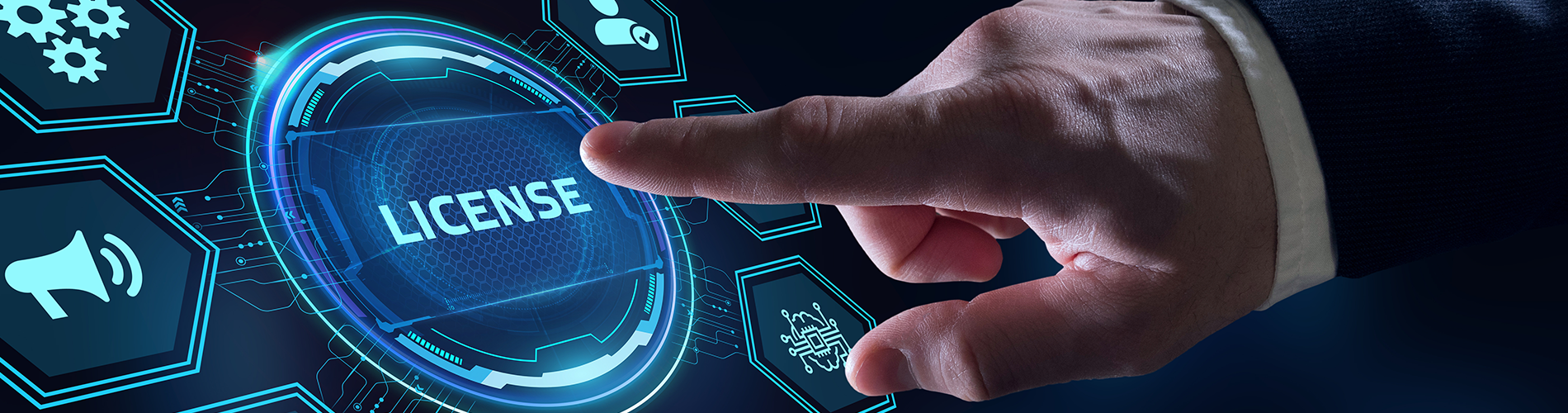 Black DuckOpen Source Licensing Issues Audit Solutions